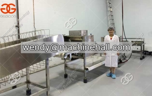 full automatic energy wafer biscuit production line 250kg/h or 1980pcs/h