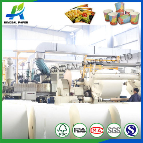 pe coated cup paper in sheet for offset printing