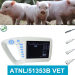 Hot-sale high quality palm ultrasound scanner