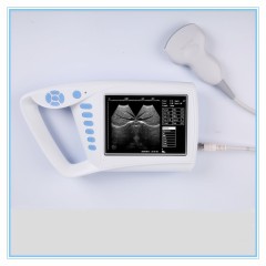 Hot sale high quality 7 inches Screen Full Digital palm ultrasound scanner palm handle vet ultrasound scan