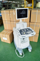 Digital Trolley Ultrasound Scanner LCD screen Print video VGA 2 USB ports 15inches LCD Monitor