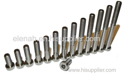 Titanium Screws For Industy Use