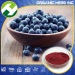 Anthocyanin 36% bilberry Extract / Dried Blueberry powder Extract