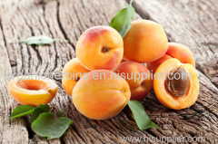 Bitter Apricot Extract Amygdalin