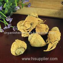 Lepidium meyenii (maca) extract