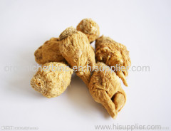 Lepidium meyenii (maca) extract