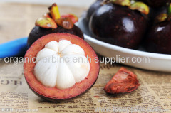 The purple mangosteen (Garcinia mangostana) extract