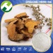 Polygonum cuspidatum extract resveratrol