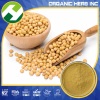 Soybean Extract Isoflavones/ soybean extract powder