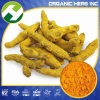 Turmeric Curcuma longa Extract