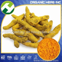 Turmeric Curcuma longa Extract