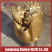 Langfang Baiwei Tricone Bit 3