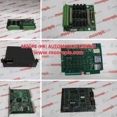 TRICONEX 3451 | Analog Output Module