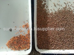 Color sorter for rice or grain color sorter machine with high quality and low price