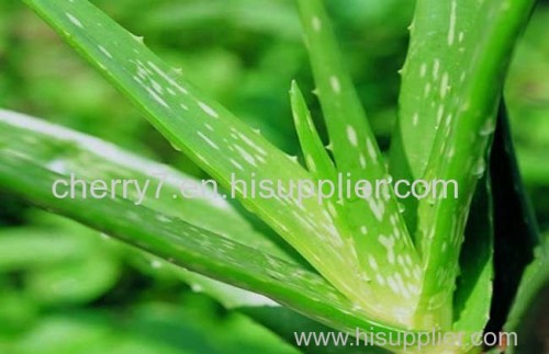 Aloe Emodin plant extract