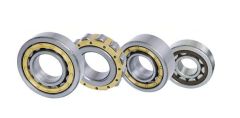 NN NNU NNF series Double row cylindrical roller bearings