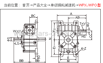 Worm Gear Reducer NMRV040/gear reducer/gearbox NMRV series