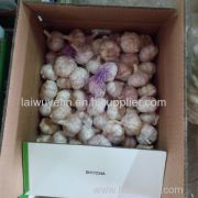 laiwu yelin agricultural product import export co.,ltd