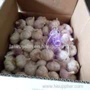 laiwu yelin agricultural product import export co.,ltd