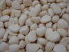 Normal white 4.5cm/5.5cm/6.5cm peeled china garlic