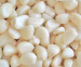 Normal white 4.5cm/5.5cm/6.5cm peeled china garlic