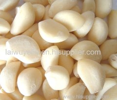 Normal white 4.5cm/5.5cm/6.5cm peeled china garlic