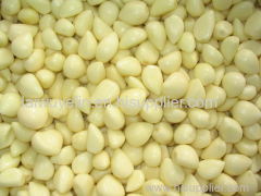 Normal white 4.5cm/5.5cm/6.5cm peeled china garlic