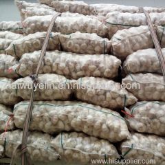 Unpeeled normal white 5cm/6cm mesh bag package garlics