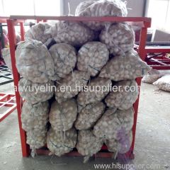 Unpeeled normal white 5cm/6cm mesh bag package garlics