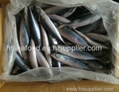 2017 new arrival seafrozen pacific mackerel(scomber japonicus) whole round BQF on sale with China origin