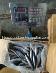 2017 new arrival seafrozen pacific mackerel(scomber japonicus) whole round BQF on sale with China origin