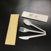 100% biodegradable compostable CPLA cutlery set knife fork spoon