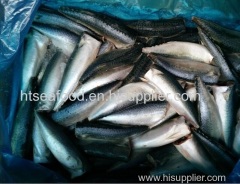 2017 New fresh pacific mackerel(scomber japonicus) HGT with HACCP on sale with competitive price