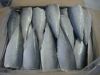 frozen pacific mackerel fillet IQF PBI PBO for supermarket with best quality with HACCP/BRC/FDA NO