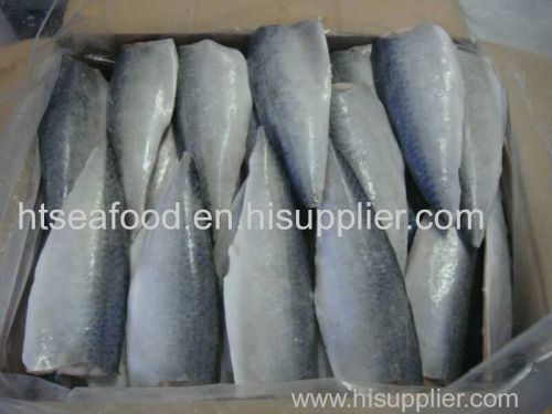 frozen pacific mackerel fillet IQF PBI PBO for supermarket with best quality with HACCP/BRC/FDA NO