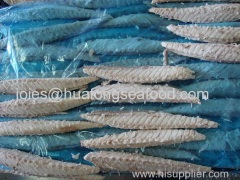 frozen pacific mackerel loin for supermarket with best quality with HACCP/BRC/FDA NO for canned mackerel