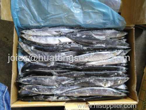 2017 new popular pacific saury(cololabis saira) whole round on sale for canning and baking
