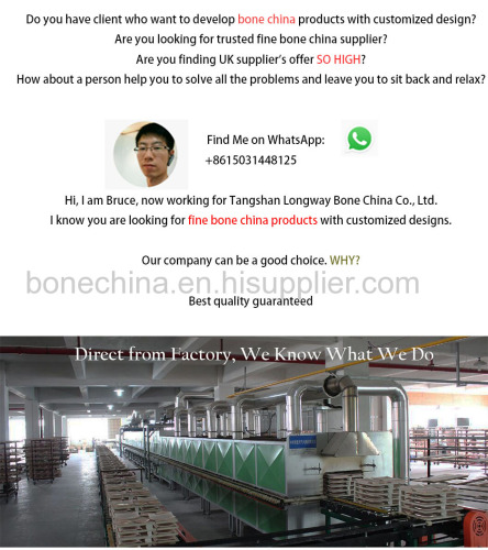 White Bone China Dinnerware Factory Supply Contact Now