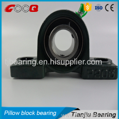 Made in China Pillow Block Bearing