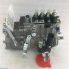 fuel Injection Pump BHF4PM10001