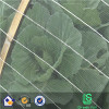 silver anti insect net