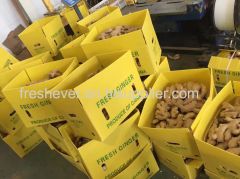 Air dry ginger 250g up for euro countries