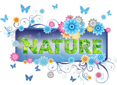 Foshan Nature Decoration Materials Co.,Ltd.