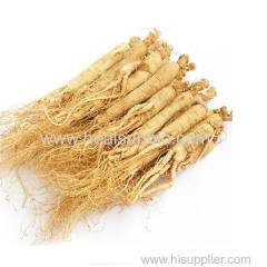 Organic Panax Ginseng root powder