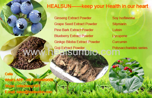 American Ginseng Leaves Extract Powder