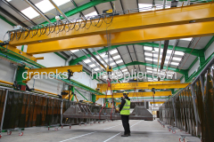 Double Girder Overhead Bridge Crane Lifting Equipment Manufacturer