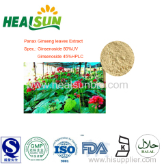 Ginseng Leaves Extract Powder korea ginseng ginsenoside