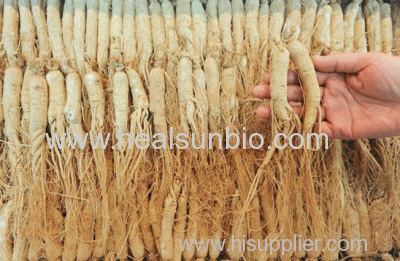 No pesticide residue Organic Panax Ginseng Root