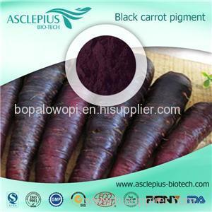 Black Carrot Concentrate Juice Powder Supplier Wholesale