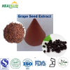 Grape Seed Extract Powder OPC95% UV